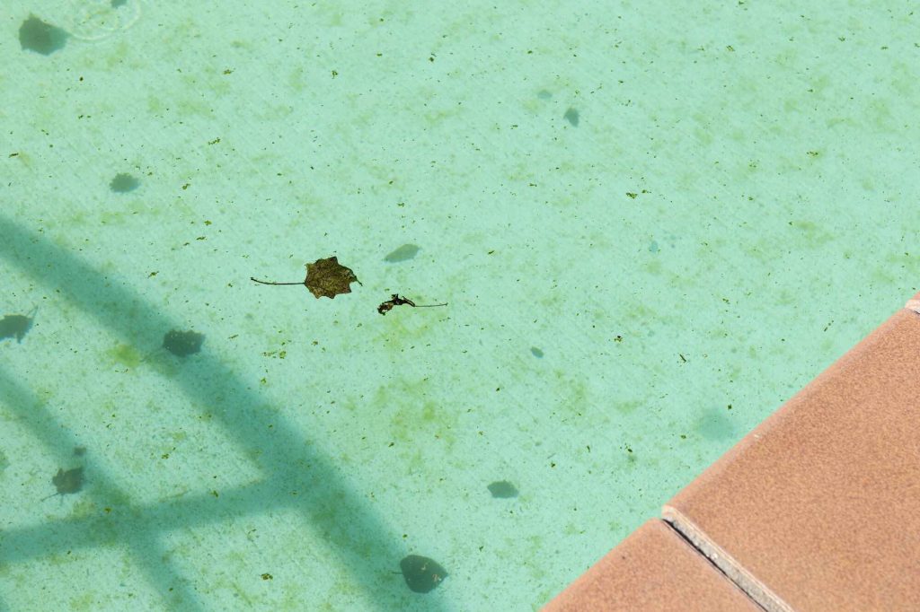 Pool Issues in Merritt Island
